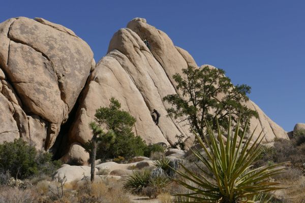 Où pratiquer l'escalade sur les parois rocheuses du parc national de Joshua Tree, Californie ?